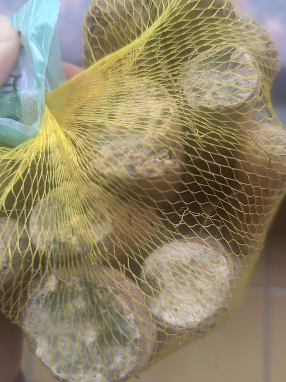 山药发霉切掉还能吃吗: 1.