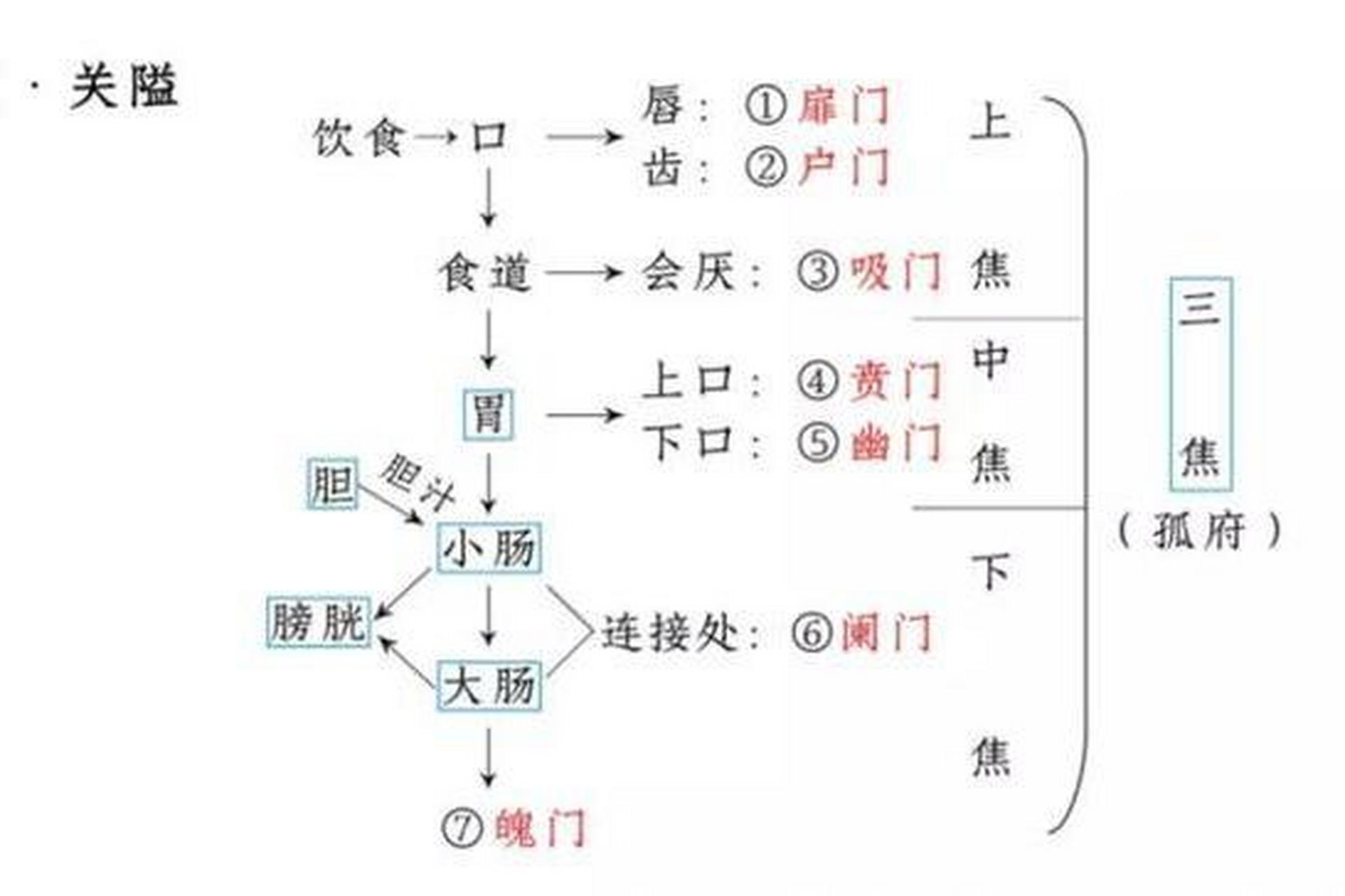 注:七冲门:唇为扉(飞)门,齿为户门,会厌为吸