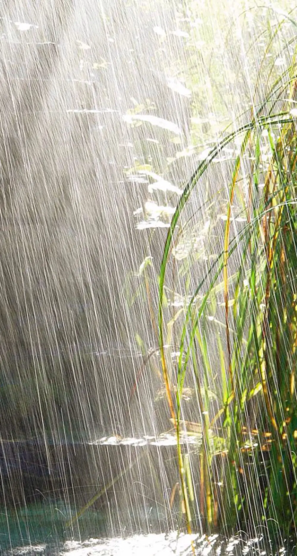 吴春生 乌云欲雨天难阻, 空气无能止下行