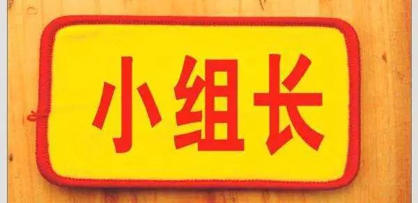 七绝·组长(新韵) 吴春生 大小级别总是官, 或多或少有