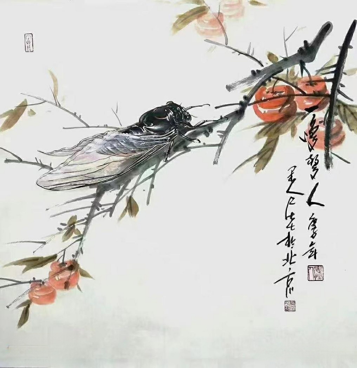 《蝉》 唐.虞世南 垂緌饮清露, 流响出疏桐.