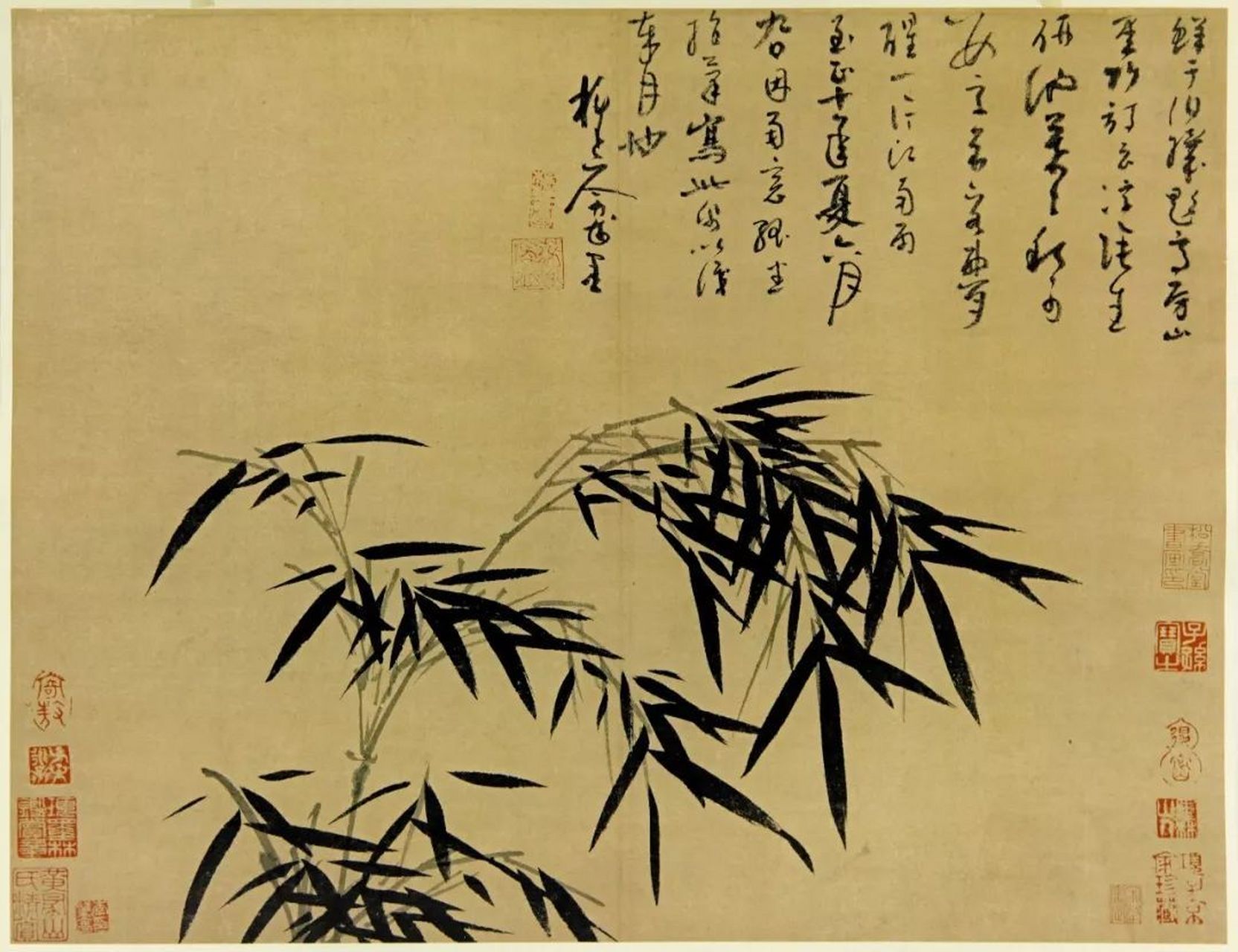 赏吴镇竹诗竹画 [微风]野竹[微风]元·吴镇  野竹野竹绝可爱,汁液扶疏