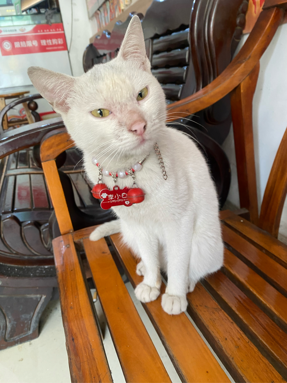 我够帅吧,叫我李小白