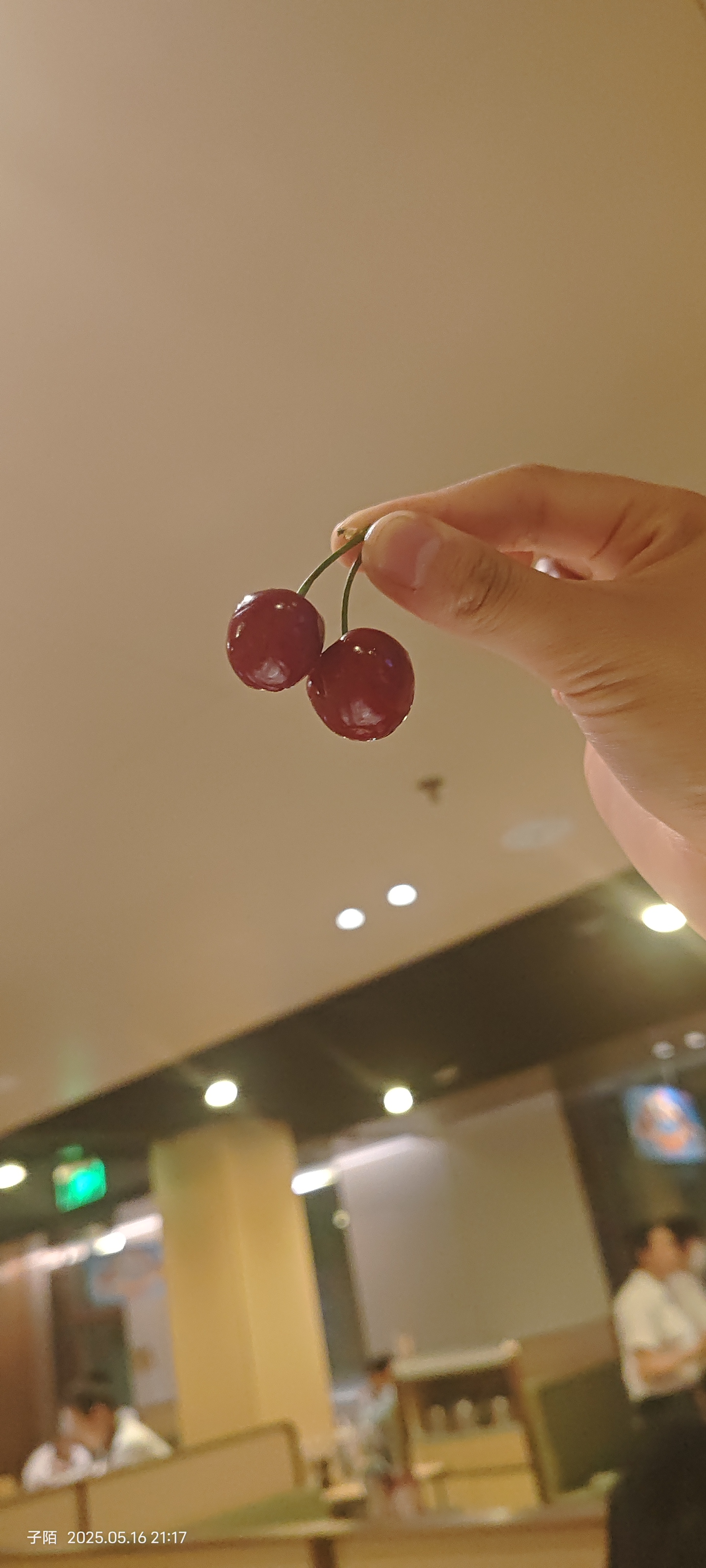 春风轻拂樱桃红