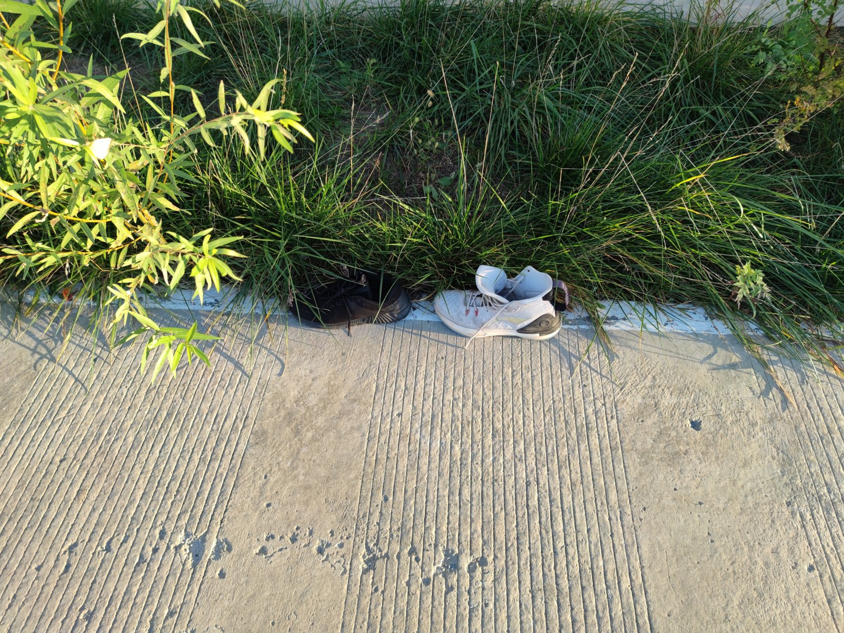 一个月前,从楼上掉下一只黑鞋,没有人捡走;最近,又从楼上掉下一只白鞋