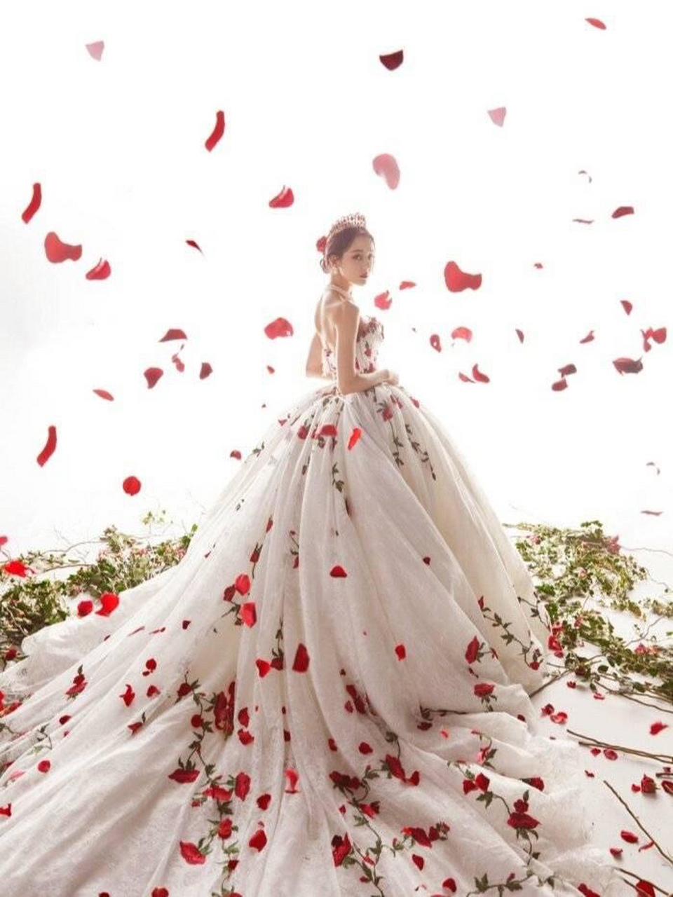 娱乐圈四大王炸