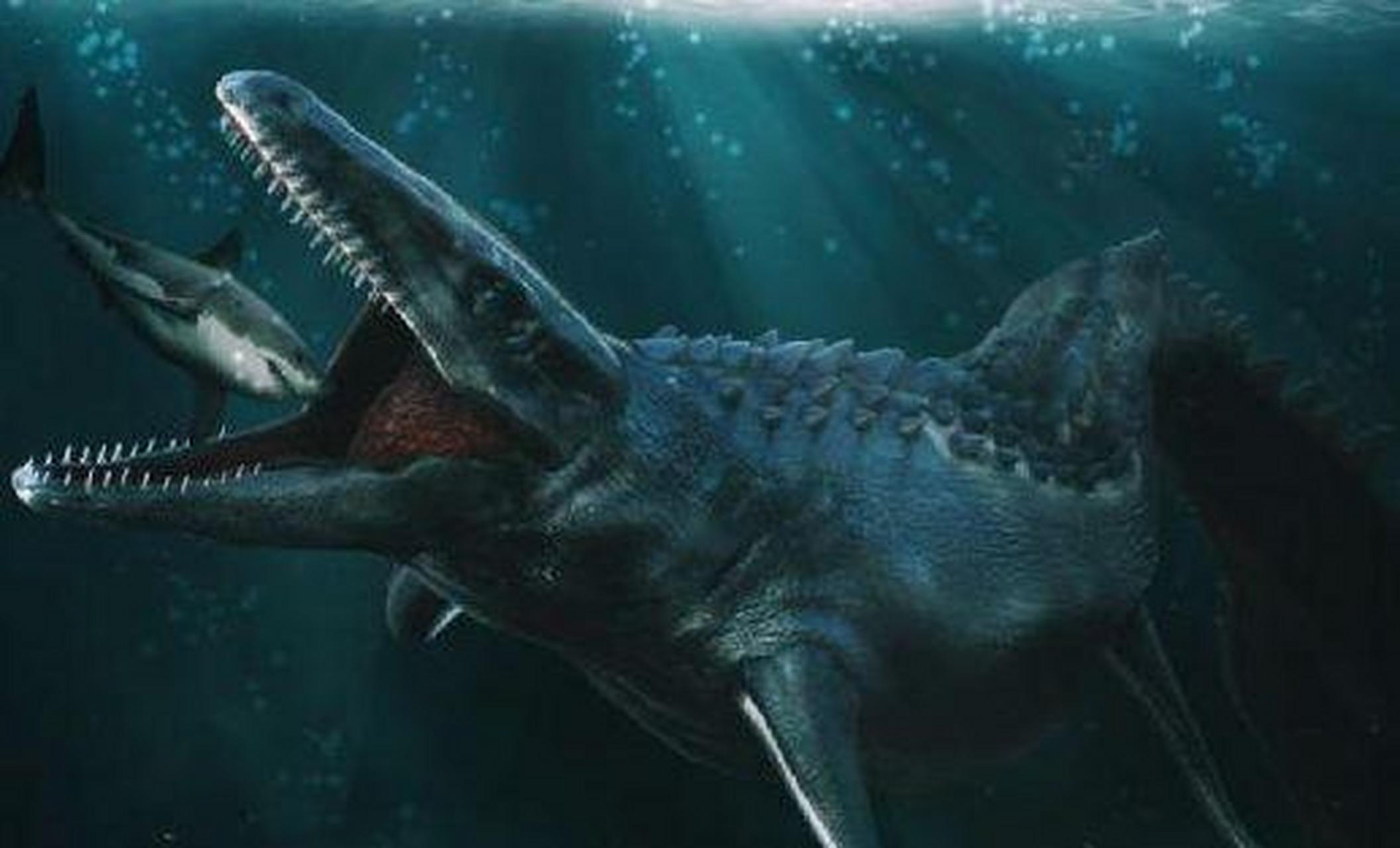 海洋霸主三巨头:1巨齿鲨2梅尔维尔鲸3沧龙