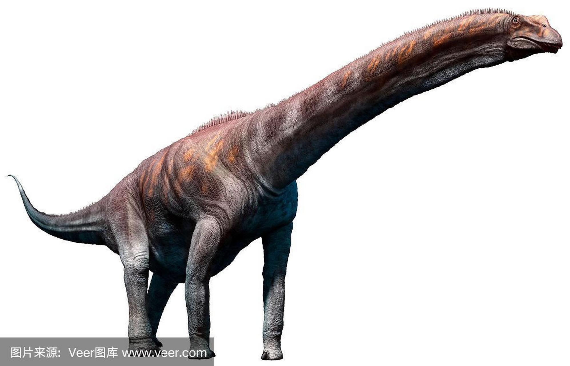 体型最庞大的食草恐龙之一——阿根廷龙         哇,这个大家伙真的是