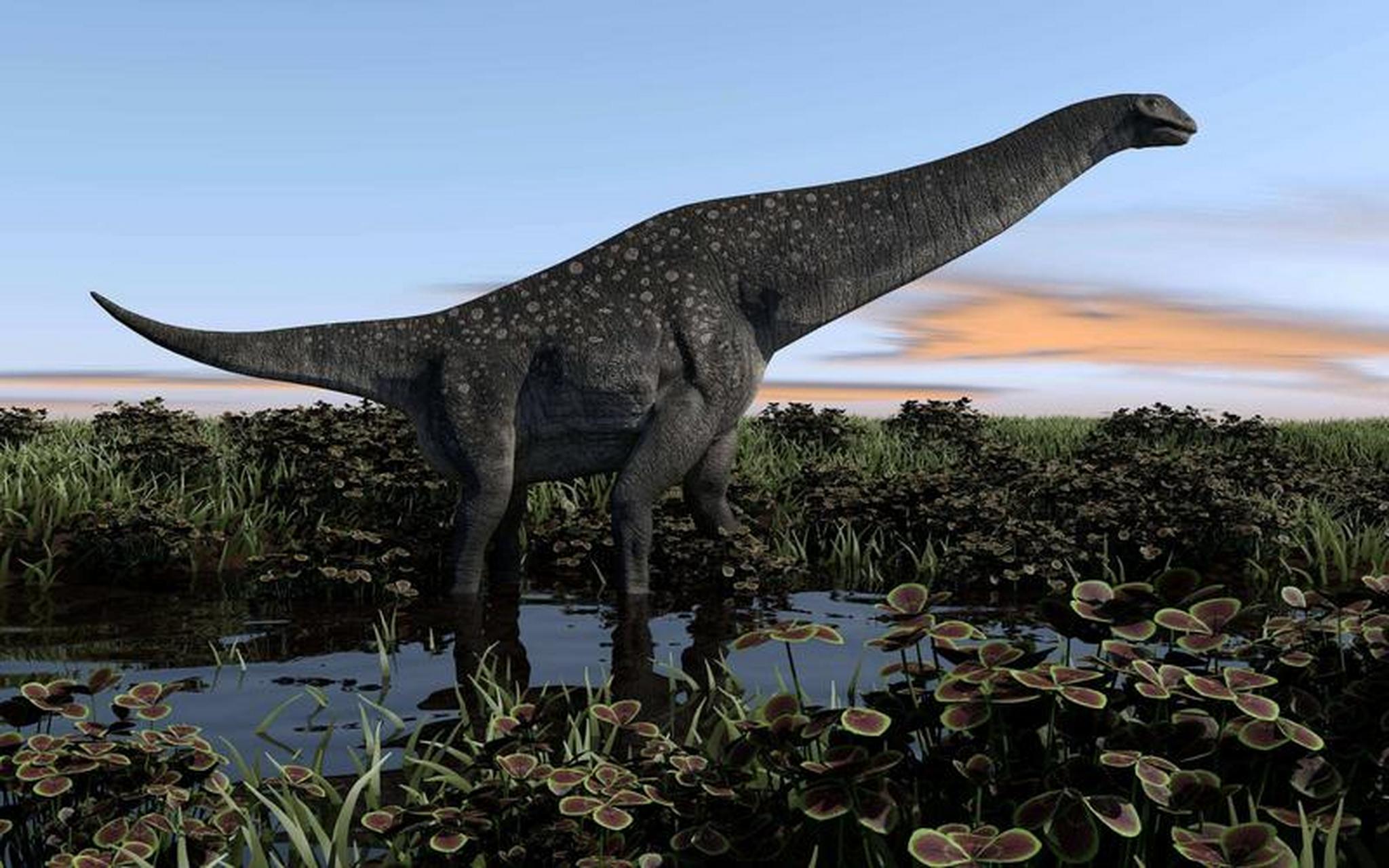 体型最庞大的食草恐龙之一——阿根廷龙         哇,这个大家伙真的是