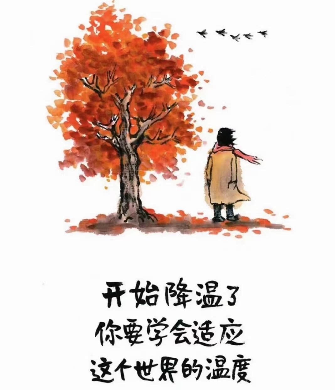 如果沒有"礼",就会沒有規矩,讲話就会很雜便,就很容易穘下不和謈的因