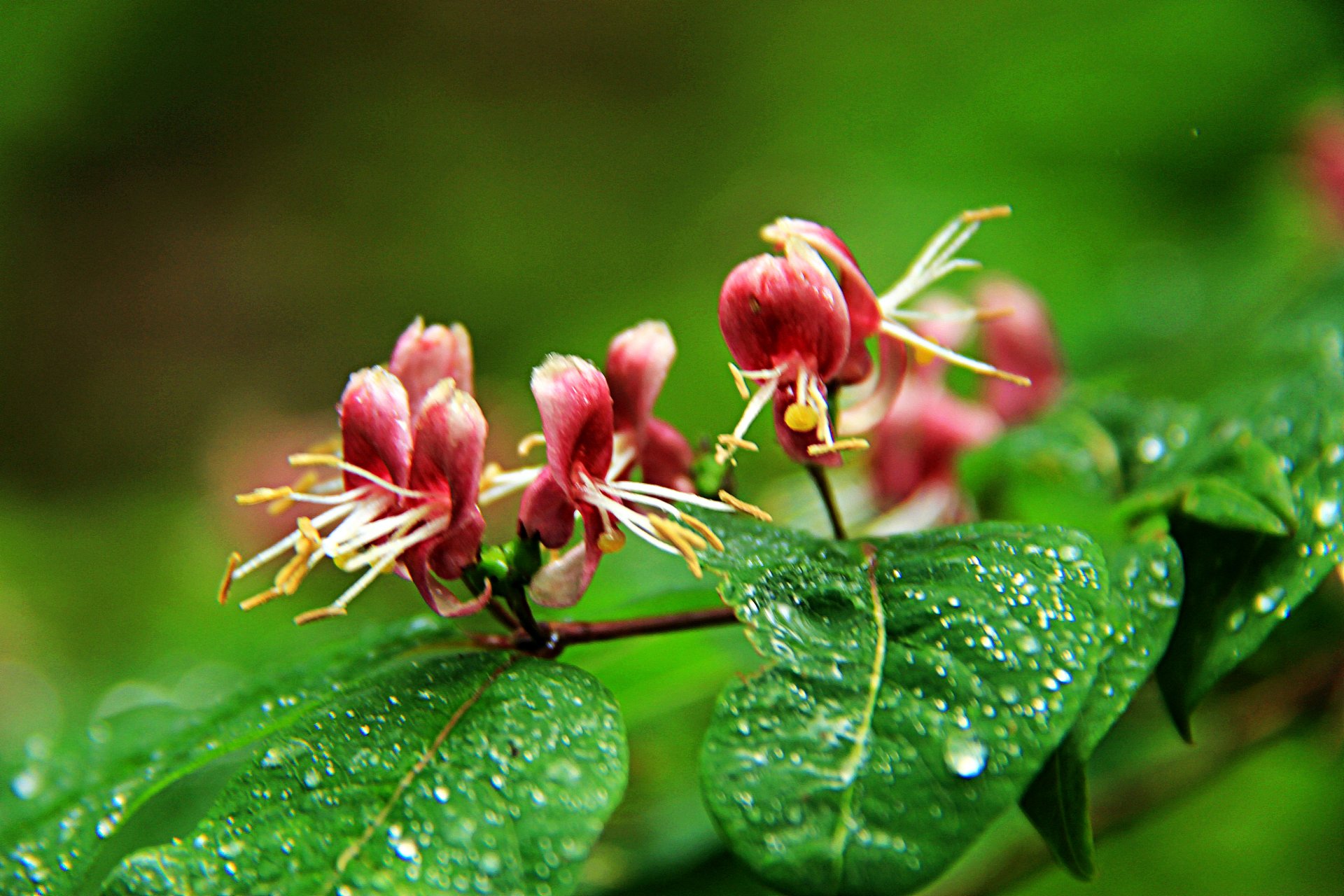 付出一生,省吃俭用; 2. 不讲吃穿,生活简单; 3.