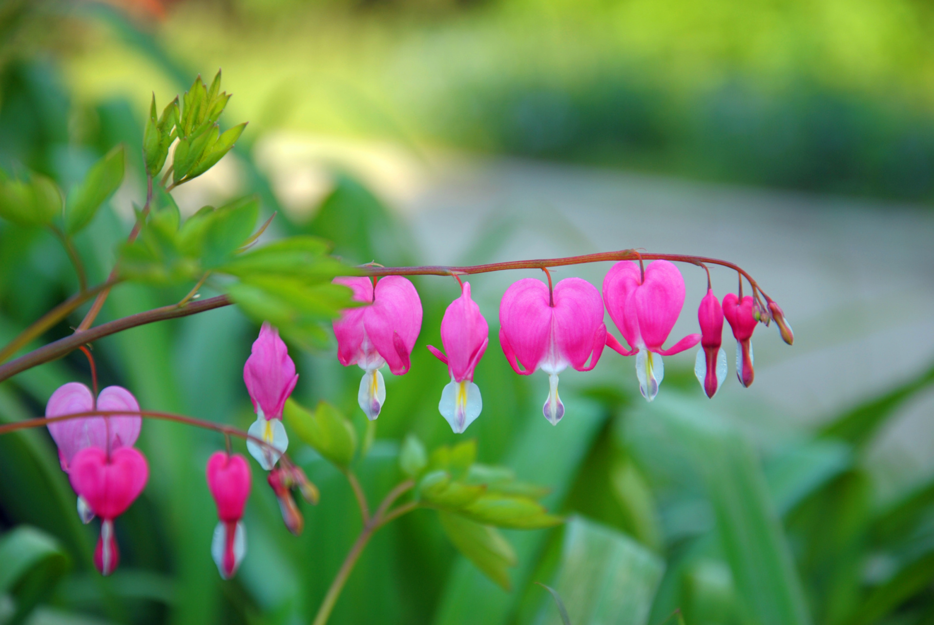 付出一生,省吃俭用; 2. 不讲吃穿,生活简单; 3.