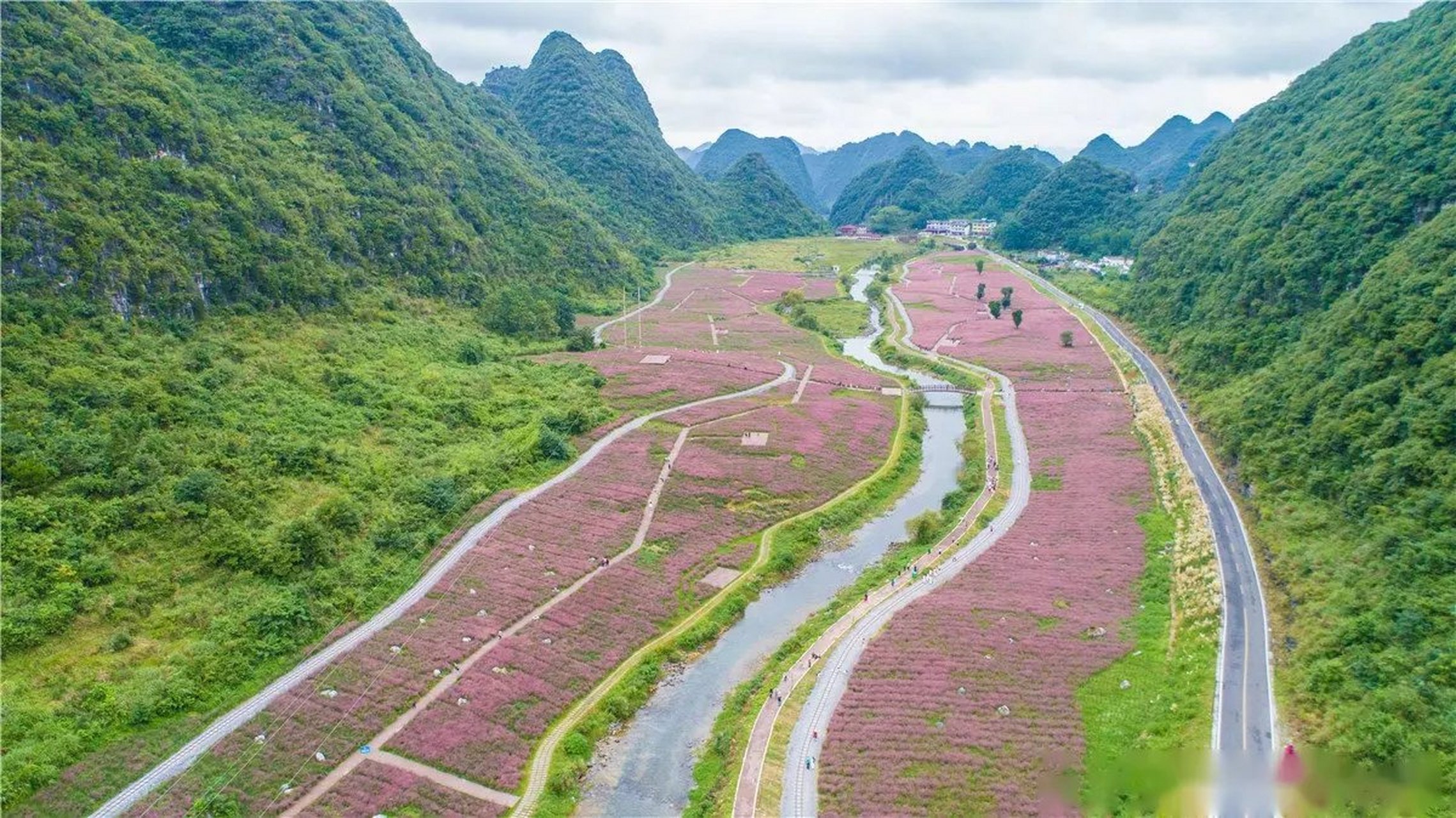 长顺十里花海图片