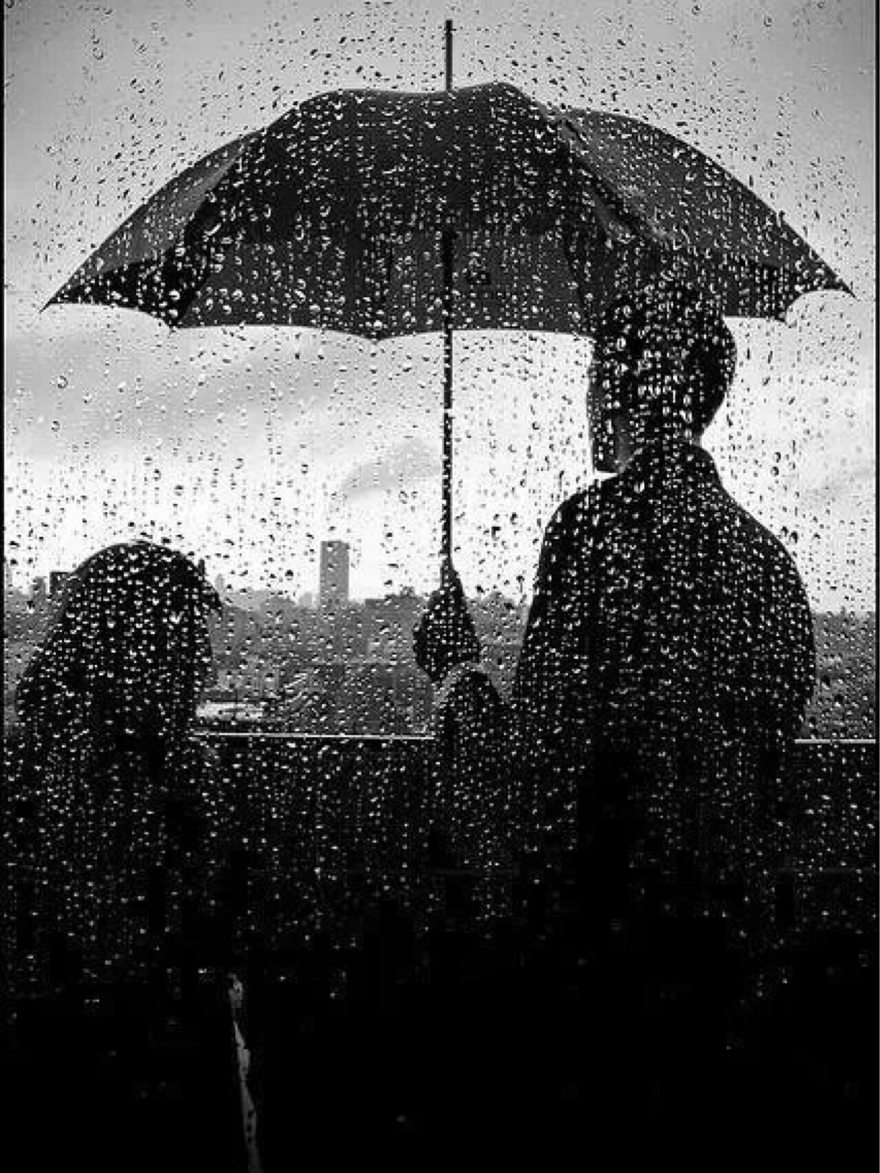 后来烟雨皆散尽