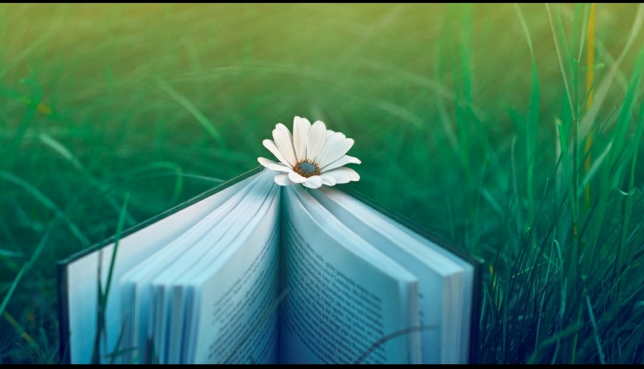 性要服人,不服人伤性.