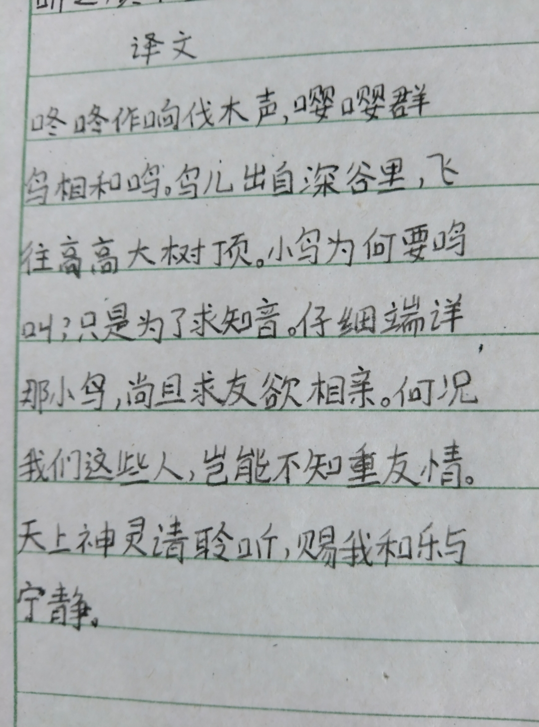 国外鸟的诗歌（关于鸟的英文诗歌）《写鸟的外国诗》