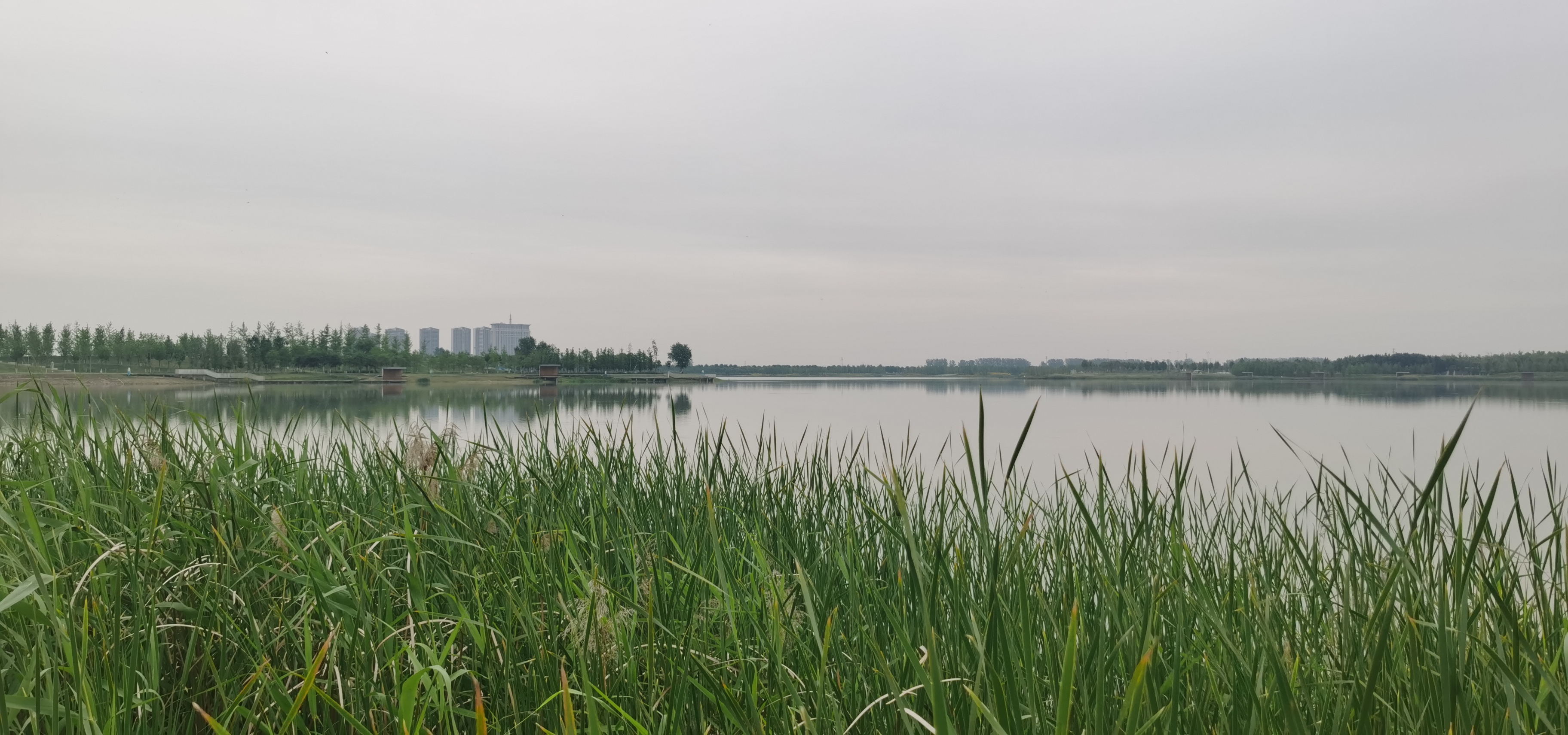 永宁湖湿地公园图片