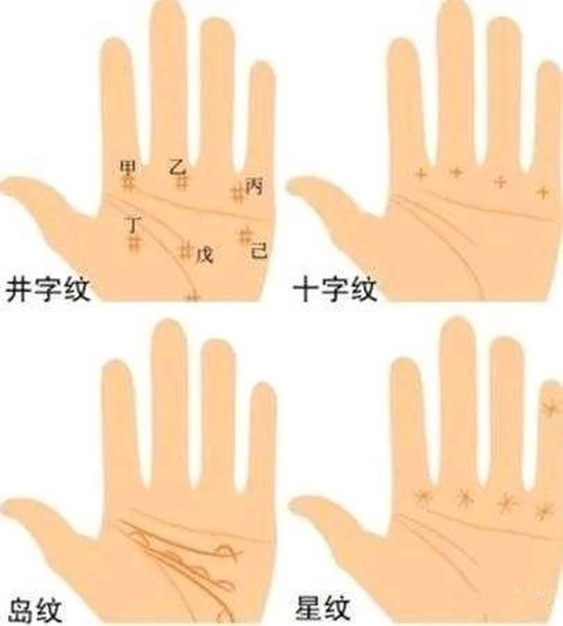 财运纹:  这种手纹在我们的无名指下方的竖线,这种线路我们叫财运线