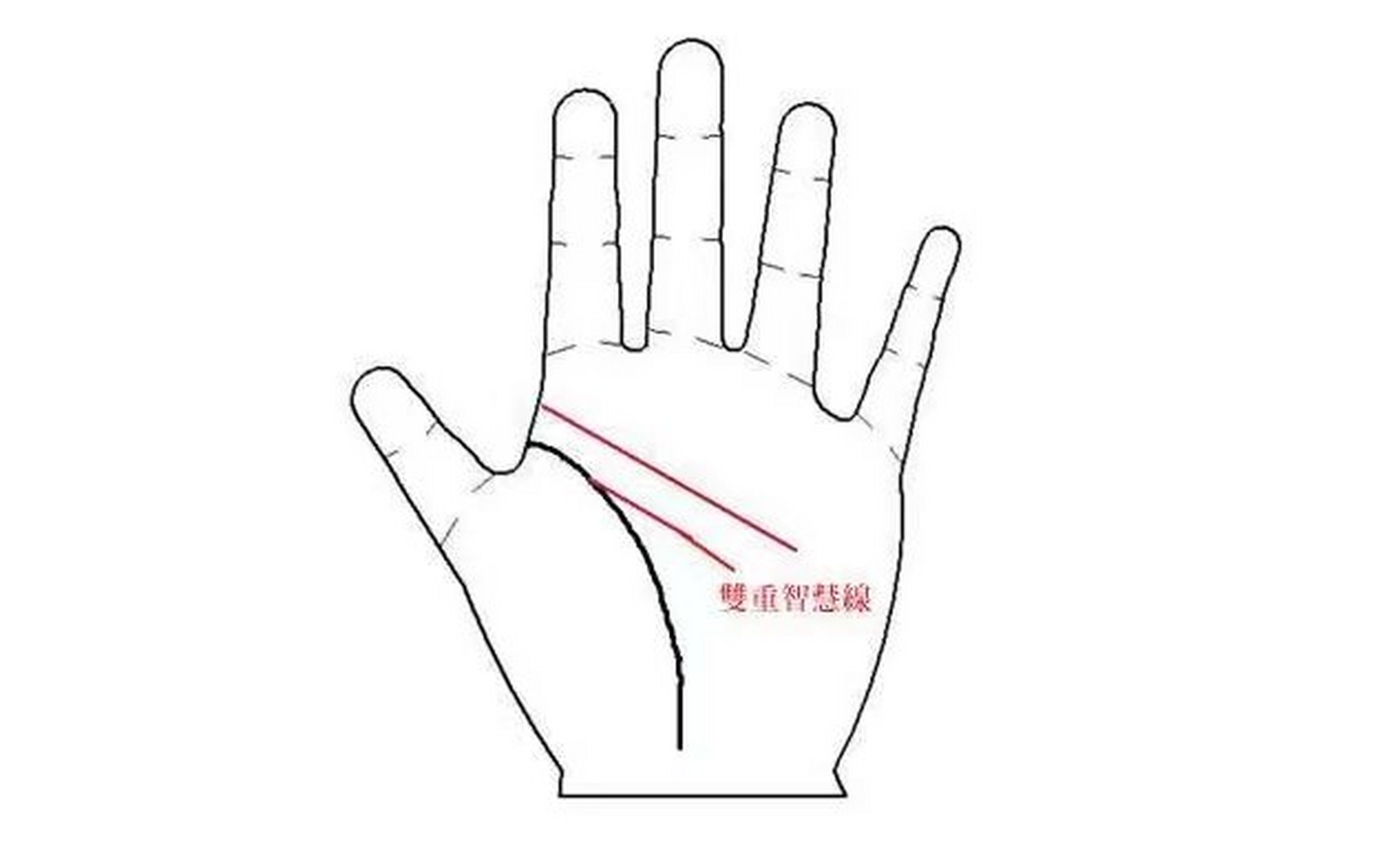 双重智慧线  一般情况下每个人只会有一根智慧线,少数人会有两条,那么