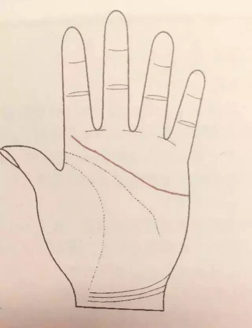 感情线很长的女人  情感线是一种非常重要的手掌图案.