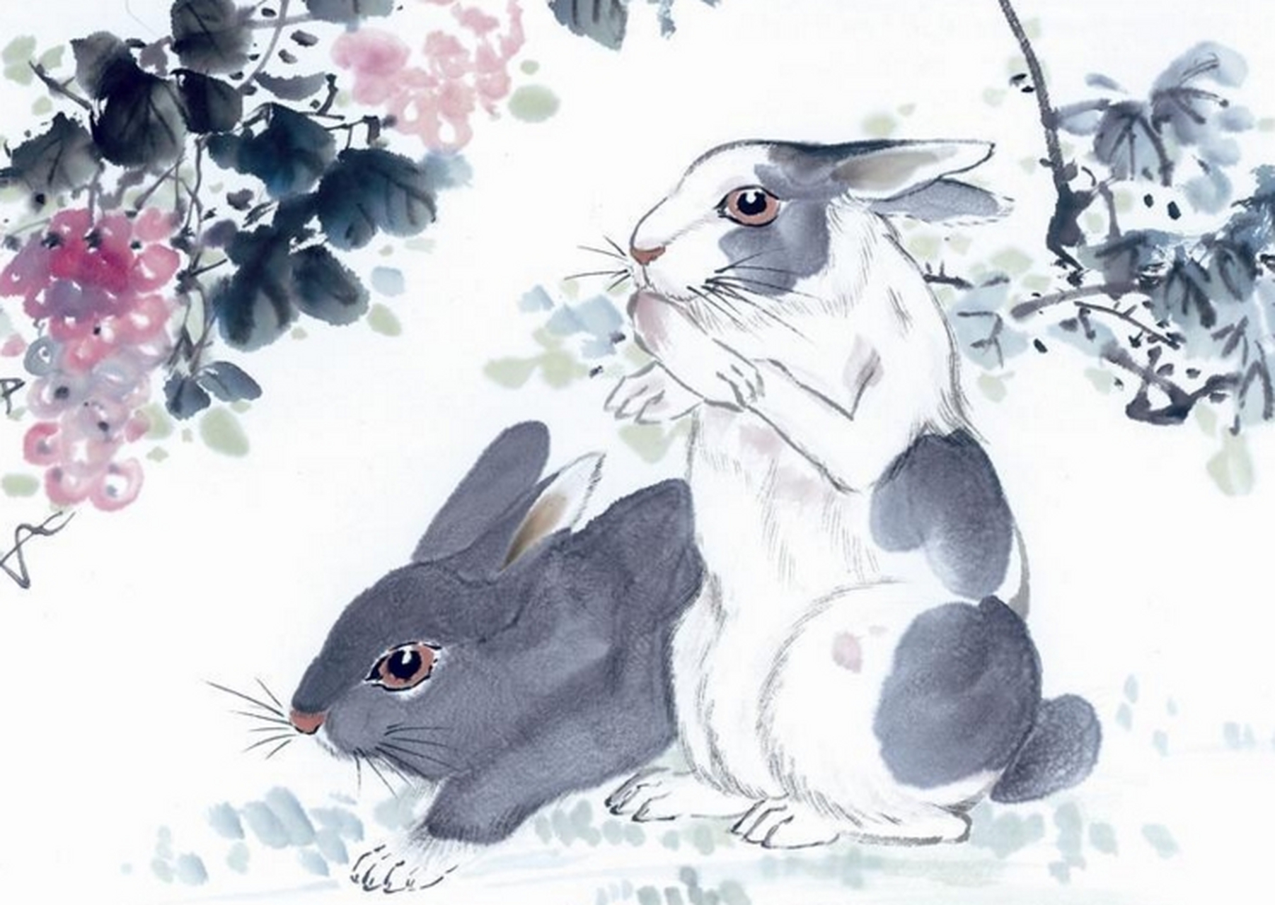 虽然事业上不够优秀,但有些属兔人能从亲人