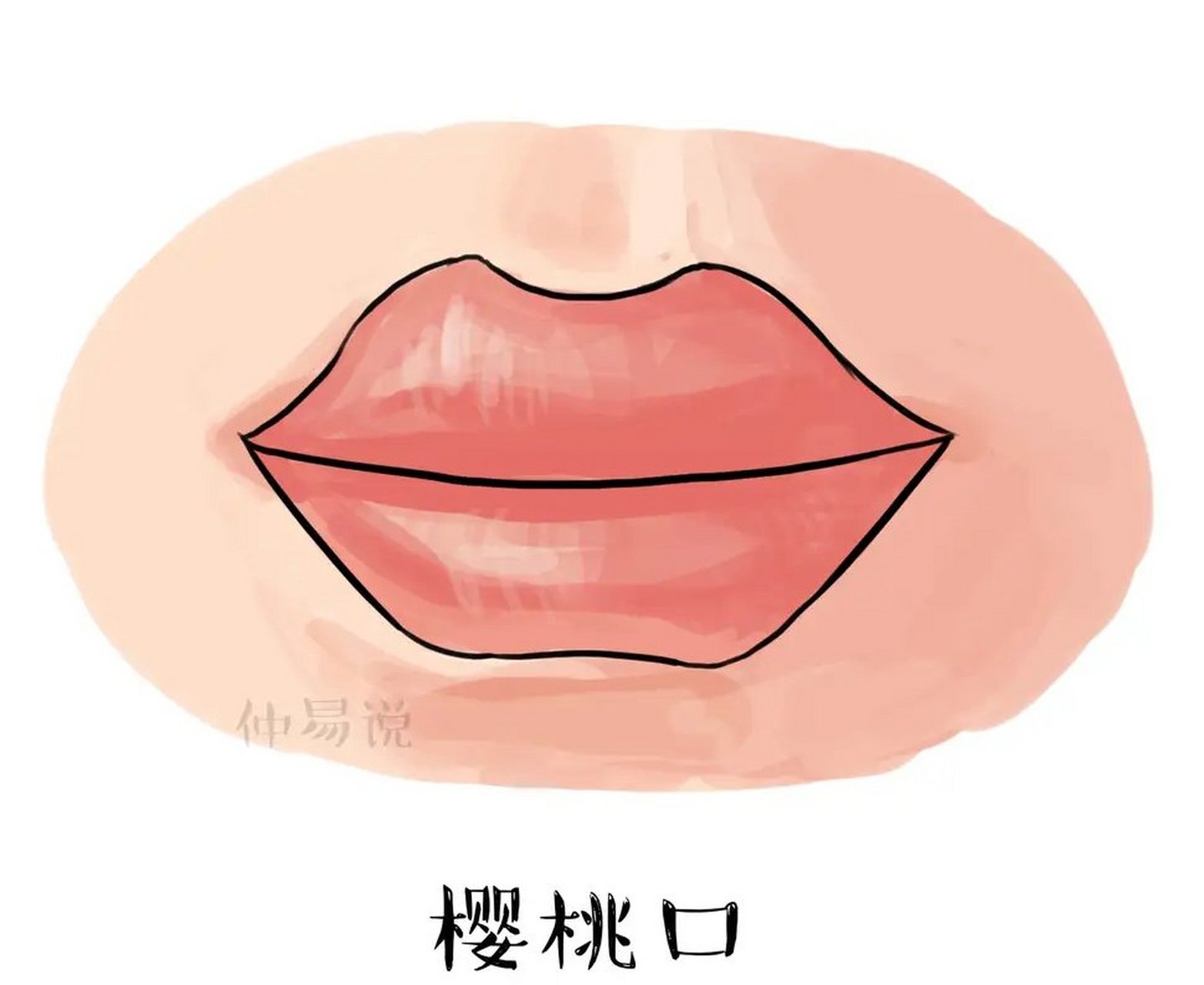 樱桃口的特征是口圆而小,唇厚而方正,口角朝上,唇色鲜艳红如血.