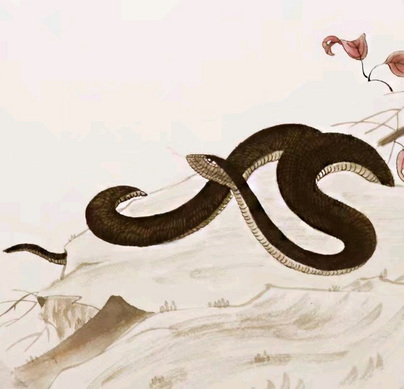 因为在生肖地支中,巳蛇与申猴六合,因此属蛇的人最宜找个属猴的对象