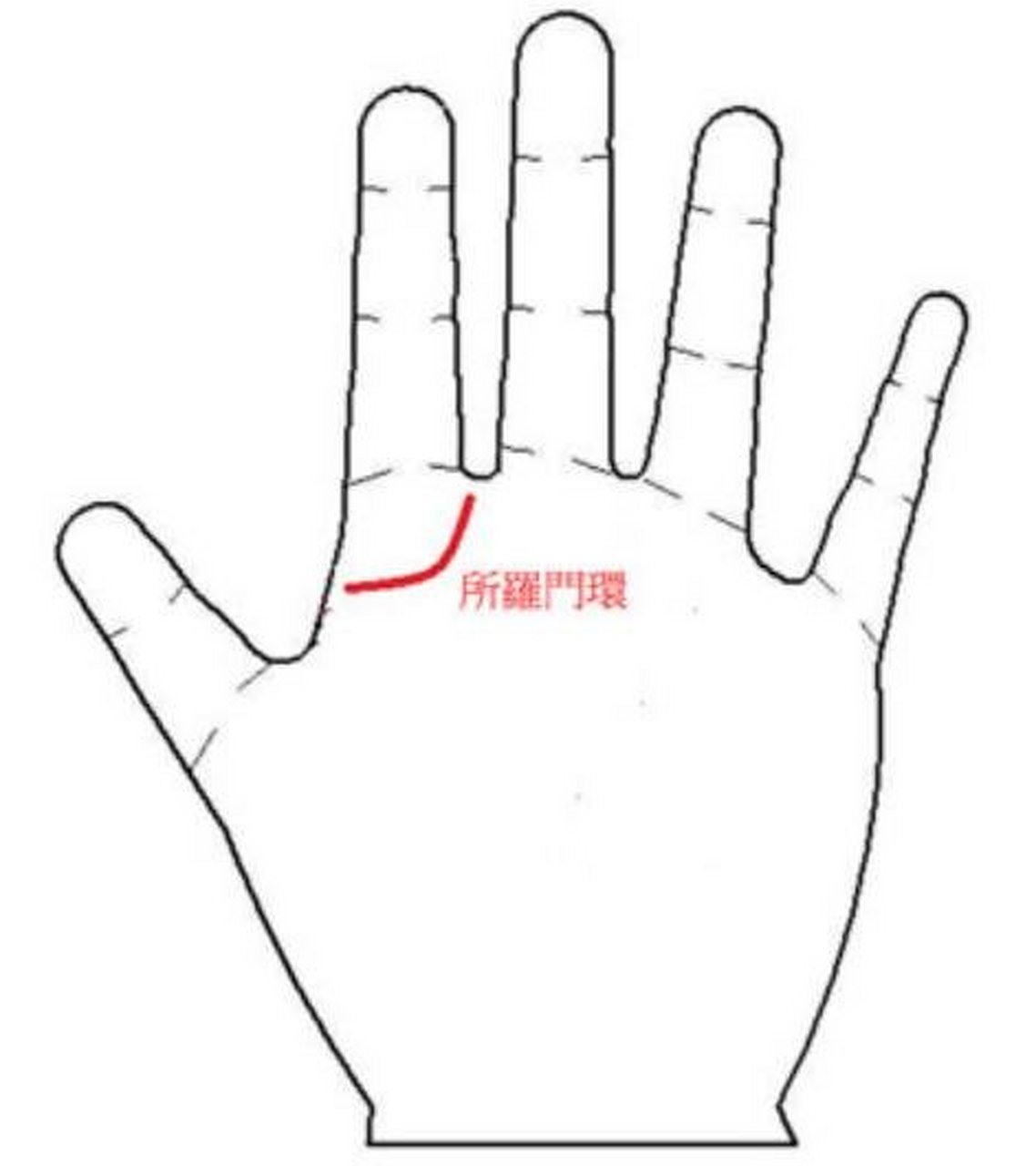 所罗门环  在手相中,有一条被称为所罗门环的手纹也是代表拥有很强的