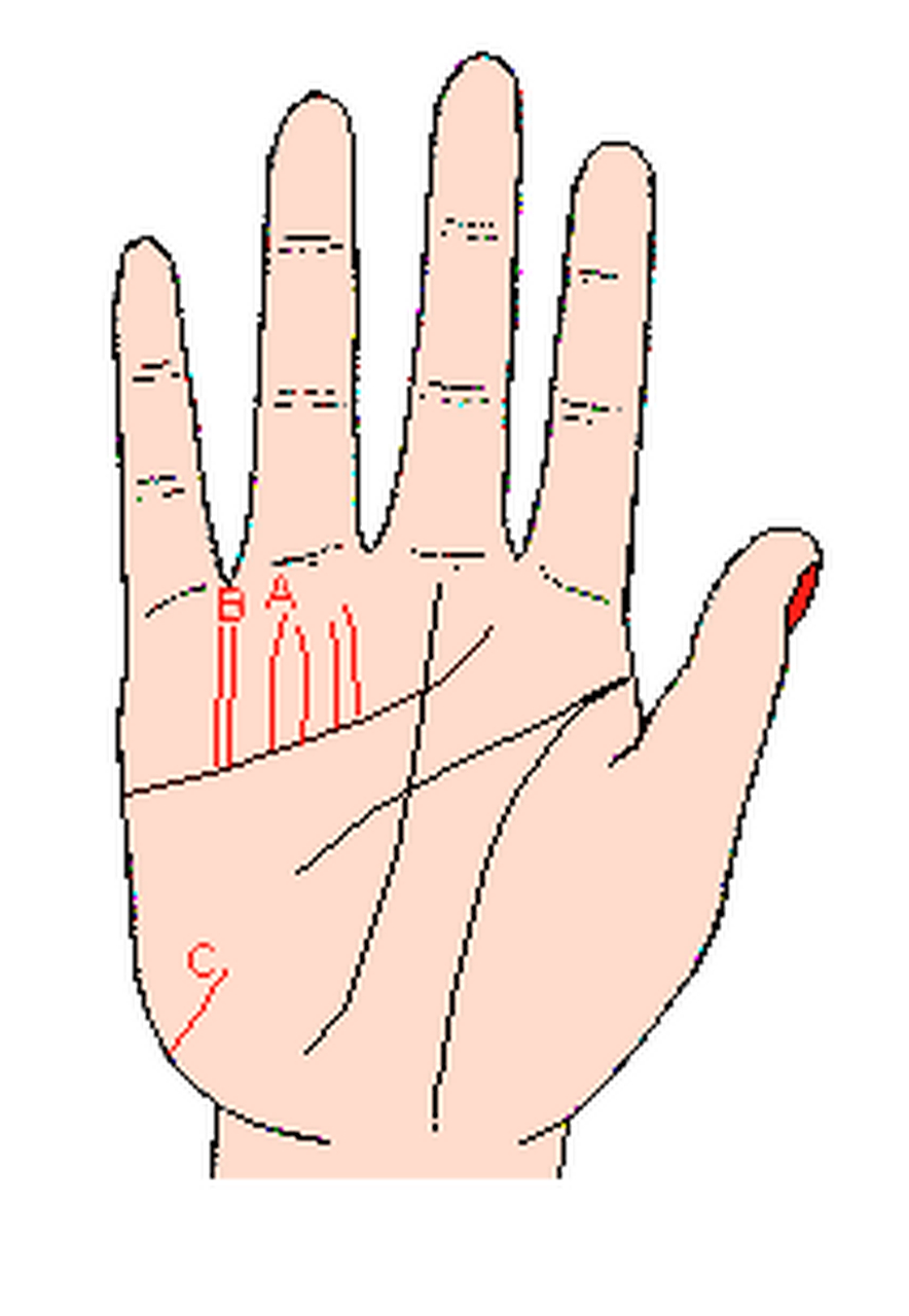 (记号a)感情线上伸出几条不规则,浅而细又薄的太阳线,表示心理向多