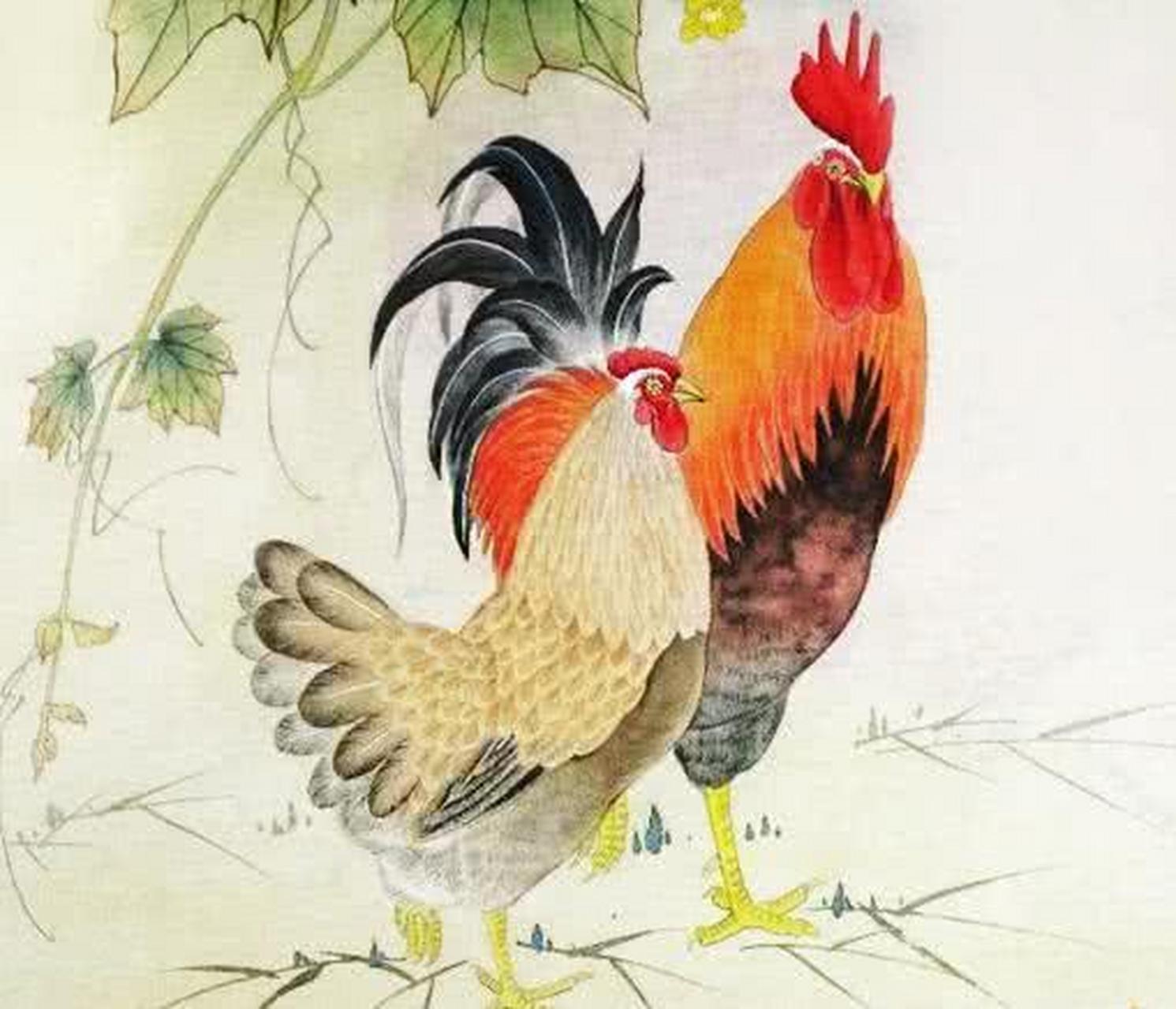 属鸡 今日属鸡人的整体运势变好,老实对待生活,形象很好.