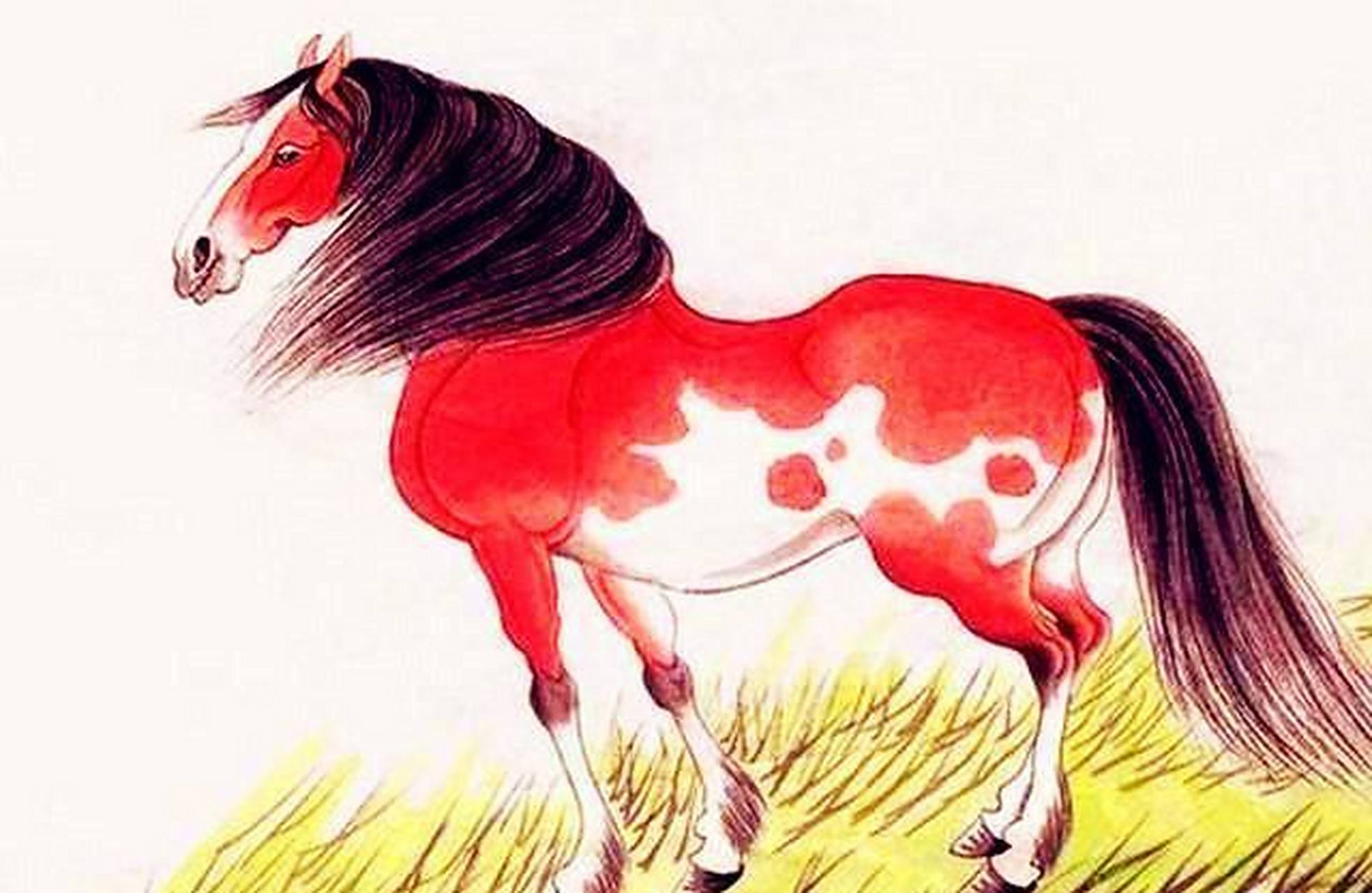 生肖马属马的性格比较乐观,在任何困境中都能靠自己渡过,翻过一次又