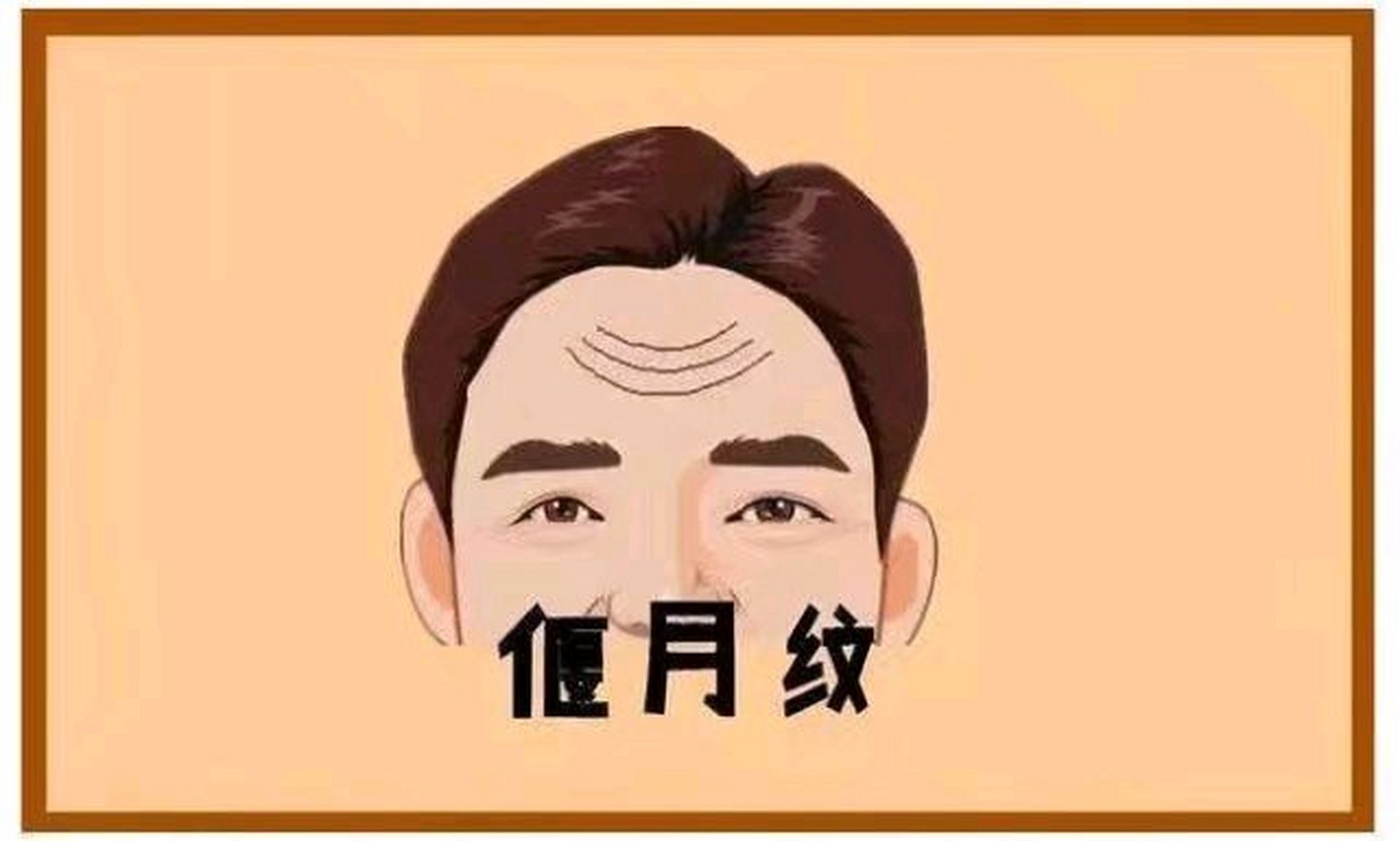 偃月纹  额头上有三,四条向上的大圆弧,就是面相学中常说的"偃月纹".