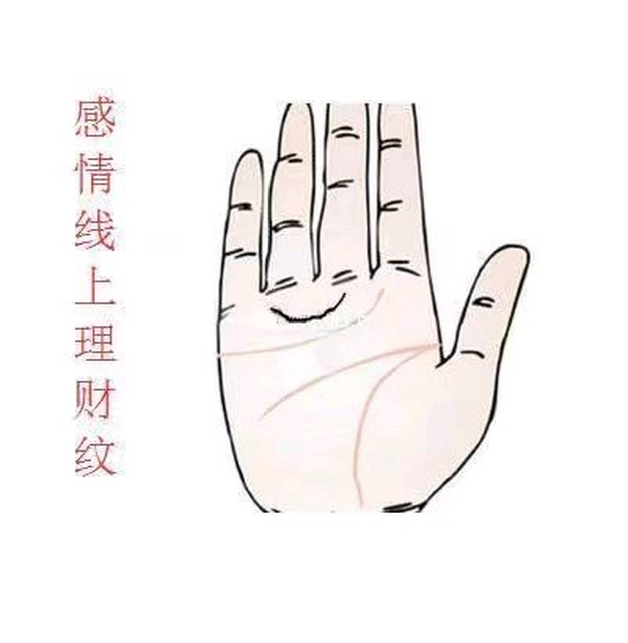理财纹,纹正深秀,在感情线之上,无名指跟中指之下,有一条与感情线平行