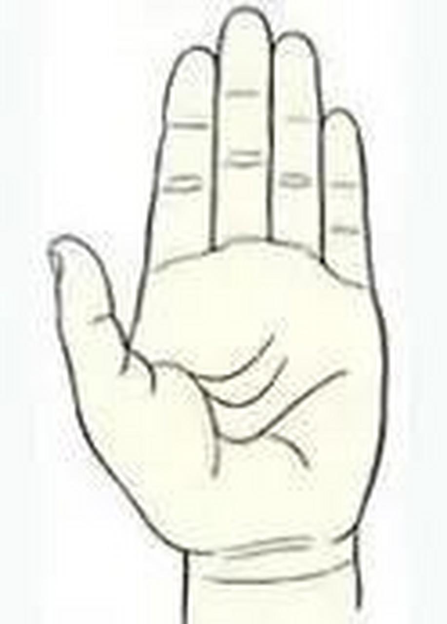 独朝纹:有这种纹的人必定能当上省部级的高官,如果还有靴芴纹的话