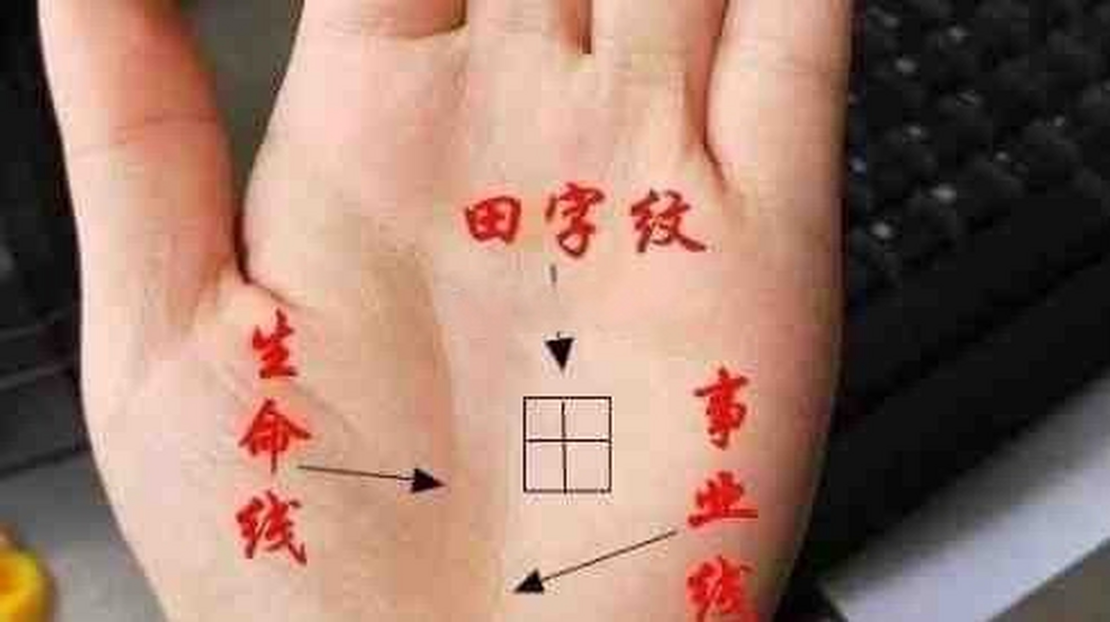 田字纹指的是,从拇指外侧最左面看是算起,一直延续到最右为准,上节和