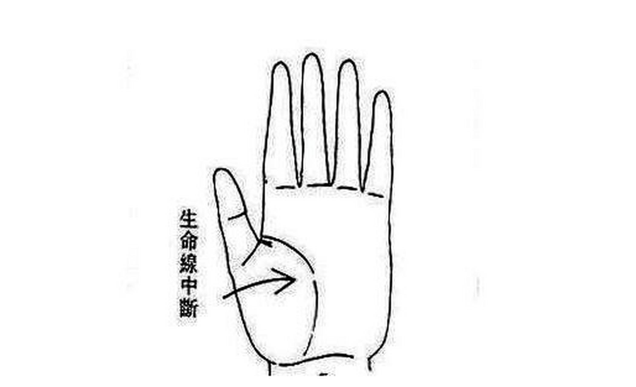 生命线中断  生命线是手掌中掌控自己生命的一条线,从这条线能欧看出