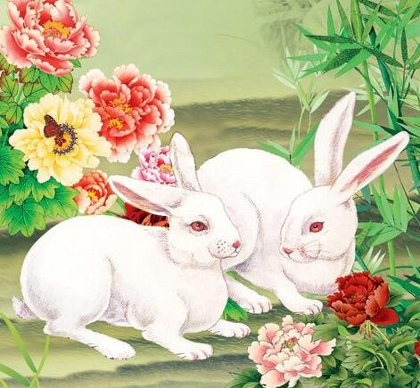 属兔 这一周生肖兔在假期前后比较平顺,但要留心周边可能发生的变化