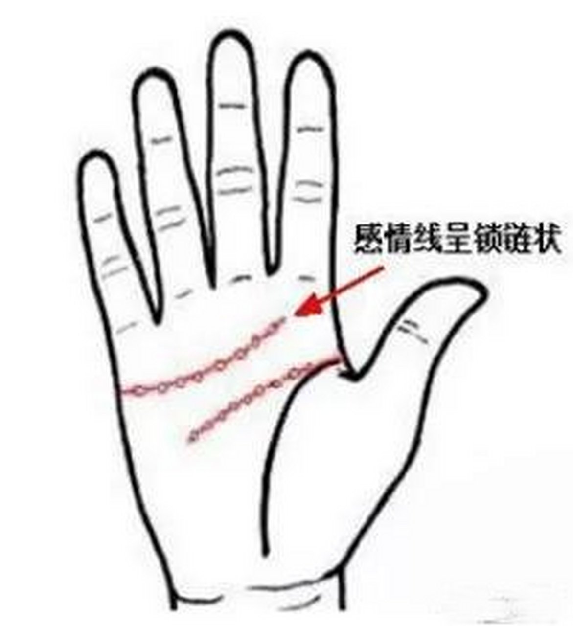 感情线杂乱或呈锁链状的人异性缘旺 这个前提是没有特别明显的某一个