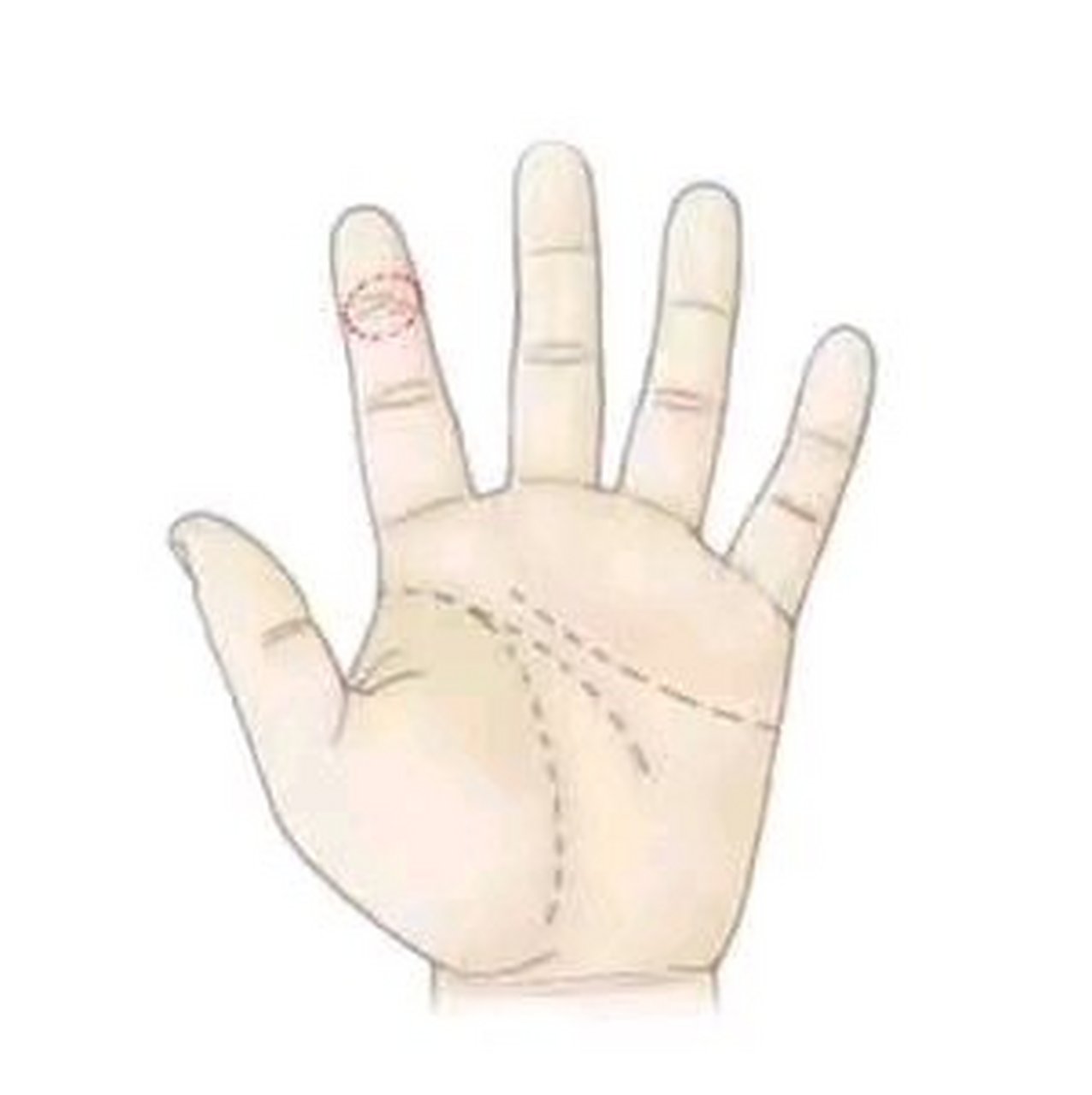 异缘型手相  食指上出现三条横纹,称为三豹纹,这种人一生中不缺钱