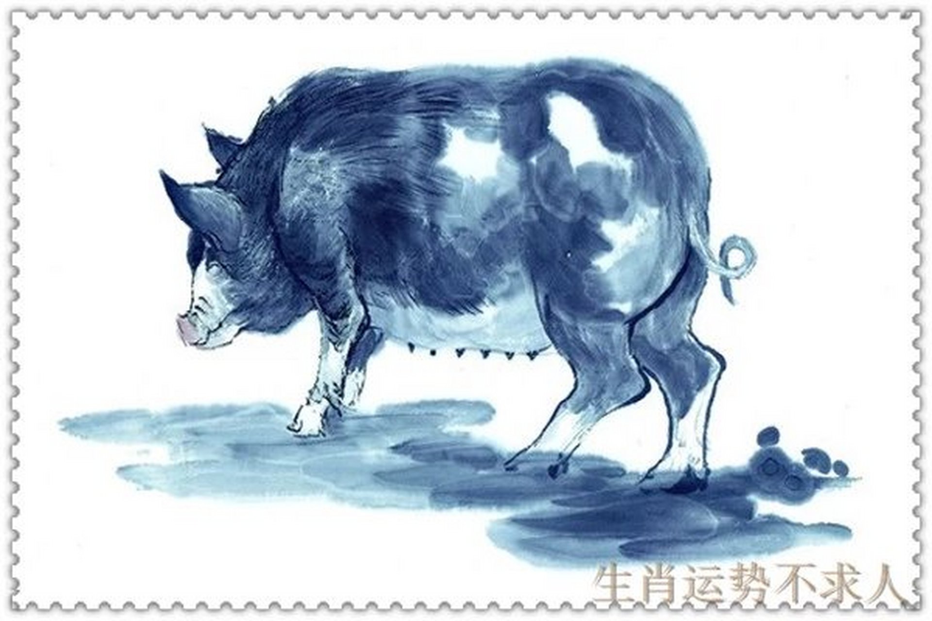 2021属猪 感情 感情方面建议生肖猪,增强桃花运,不然单身的生肖猪