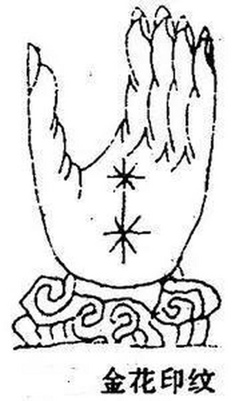 金花印纹;男主封侯,女主夫人,有金花状手纹的人是富贵之人.