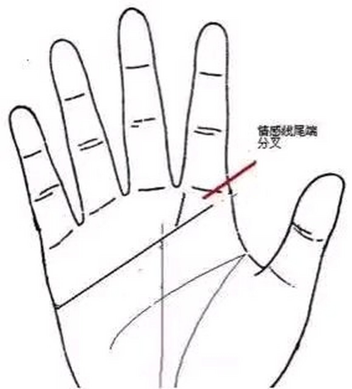 婚姻线向着无名指处向上延伸,同时尾端有十字纹出现,表示将与富有之人