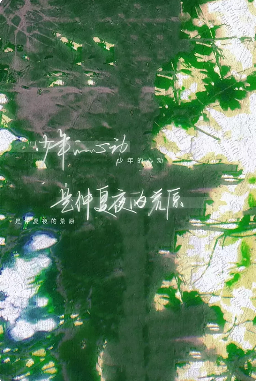 少年的心动,是仲夏夜的荒原#某某# #手写