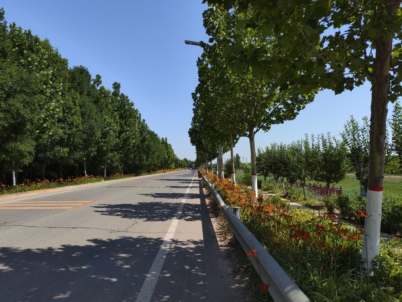 乐陵周边旅游景点图片