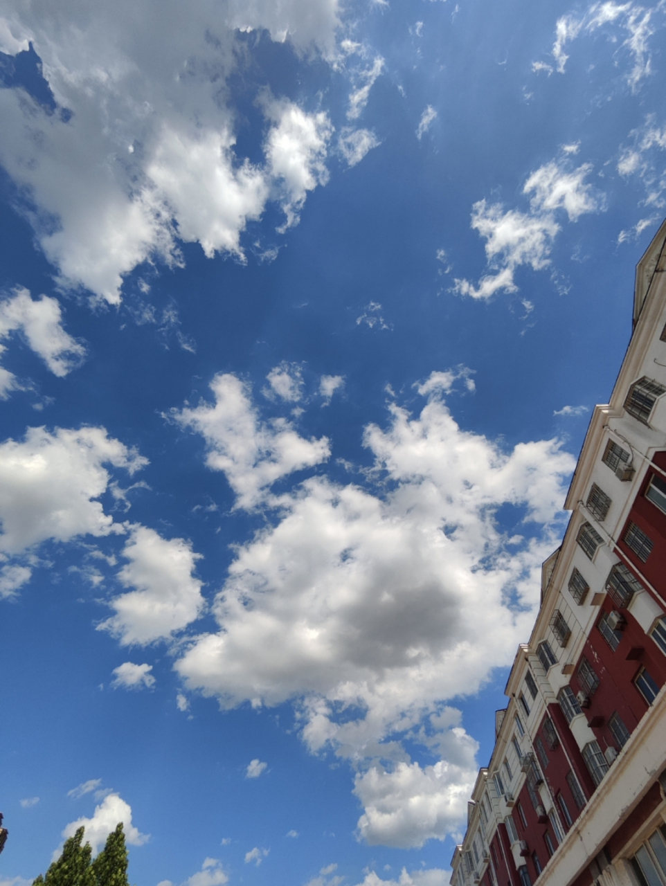 晴天,阳光明媚,心情美好.