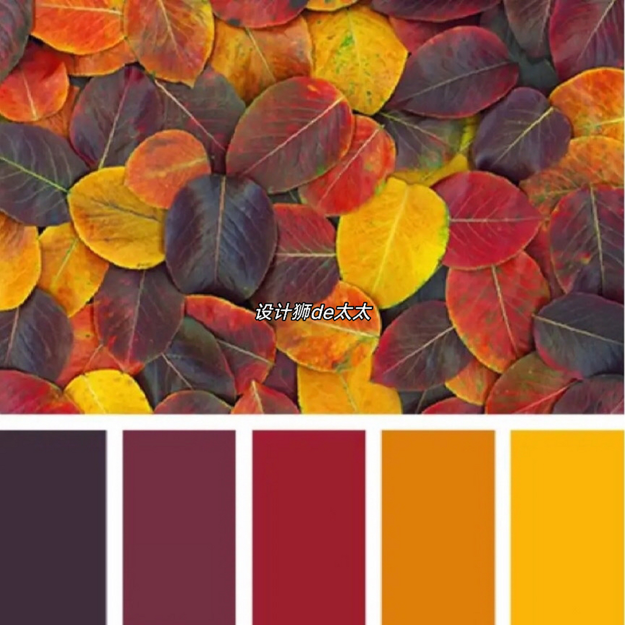 橙色系的配色色卡参考[大笑]灵感来自这个美丽的春天[心][心]#一见
