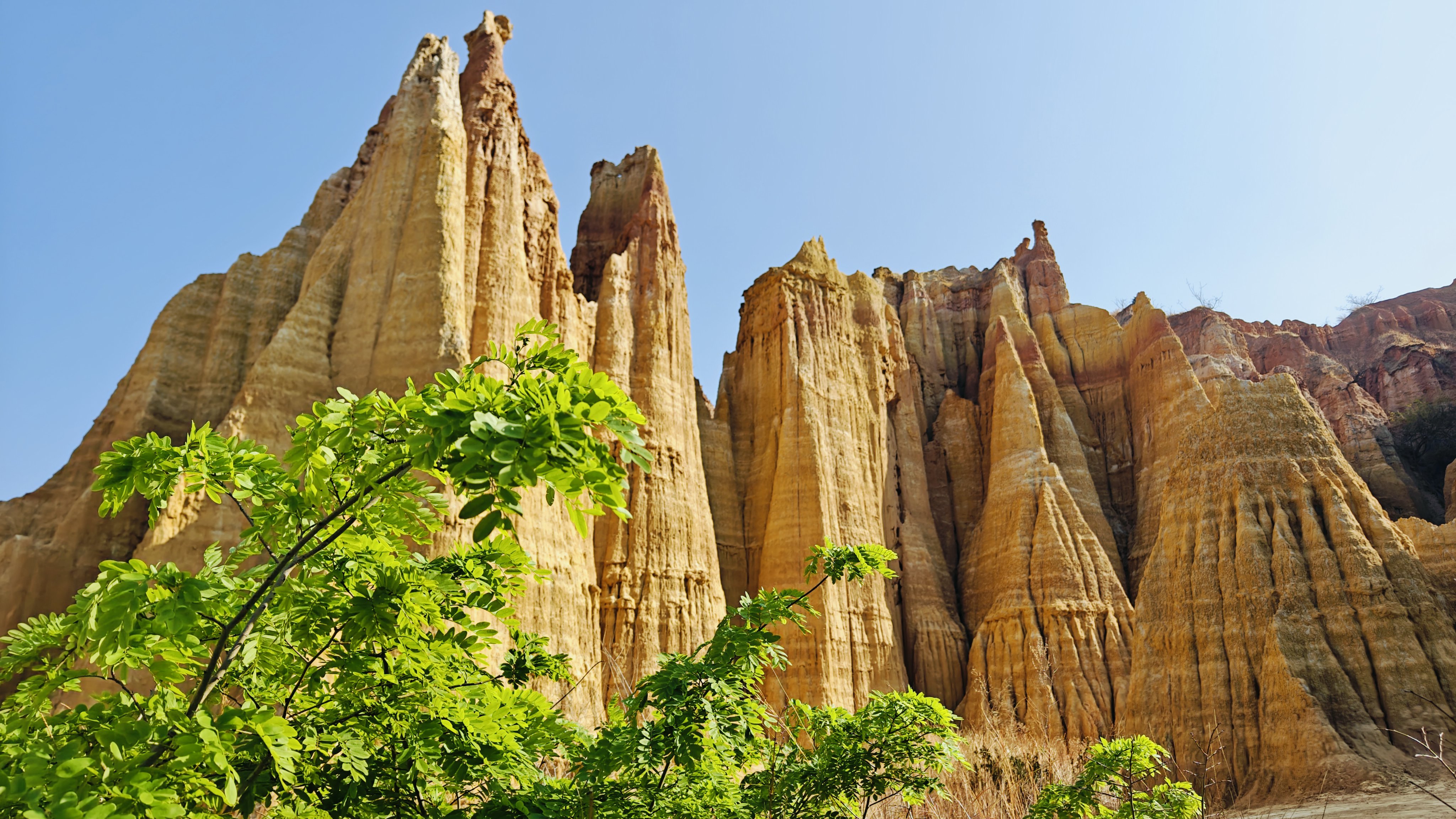 它们高耸入云,与蓝天相接,宛如大地的脊梁,坚韧而稳固