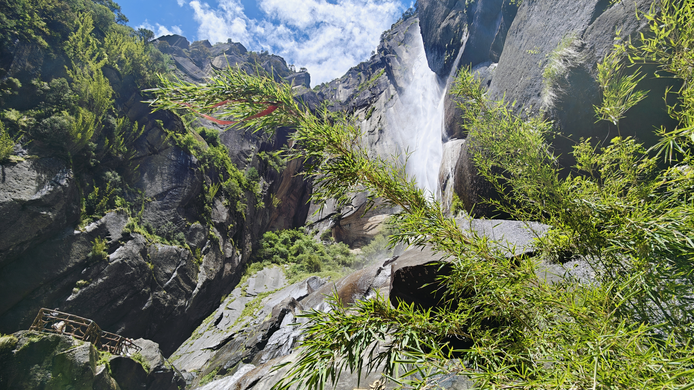 西藏林芝市卡定沟景区随拍!#美丽的风景