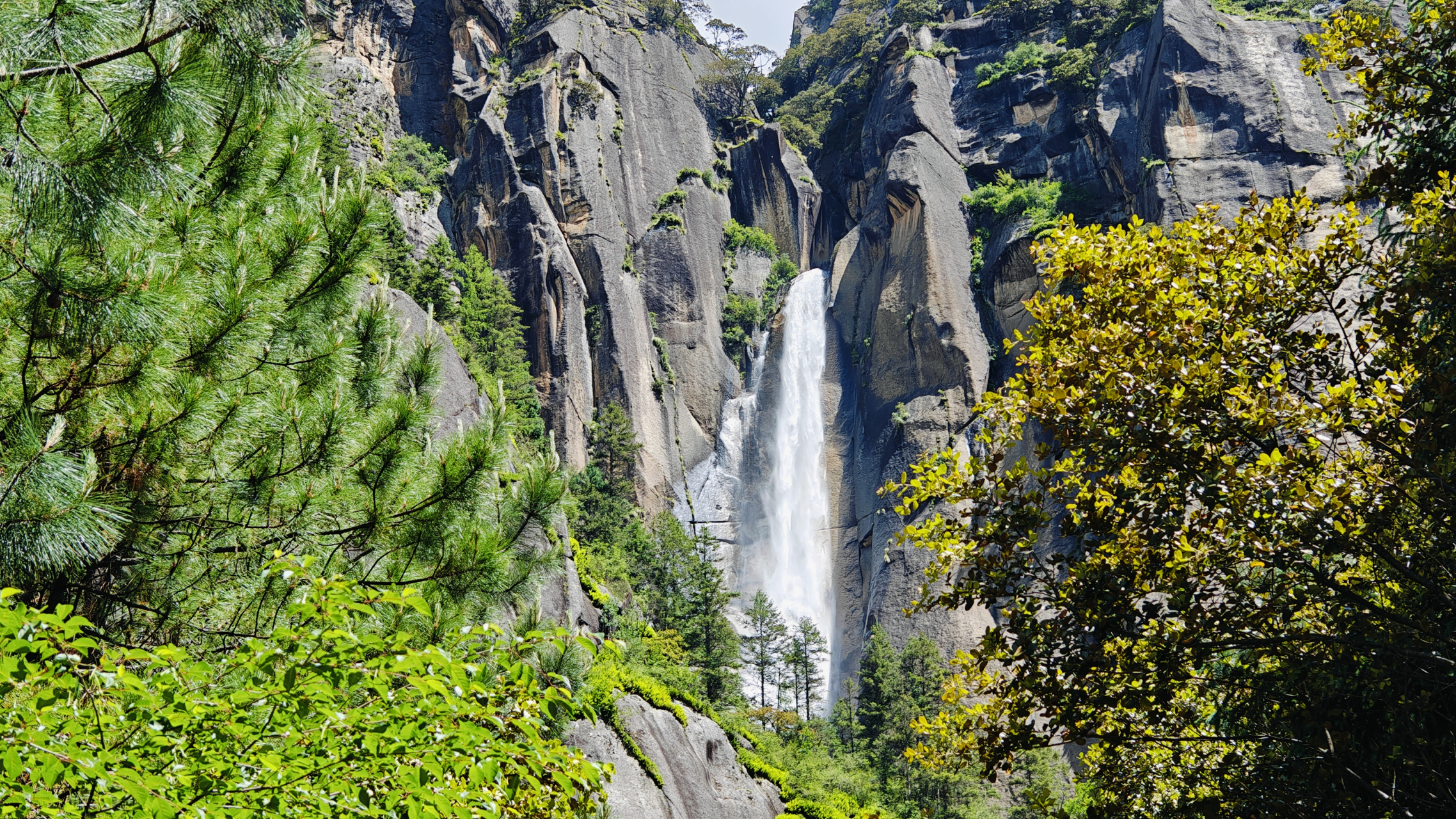 西藏林芝市卡定沟景区随拍!#美丽的风景