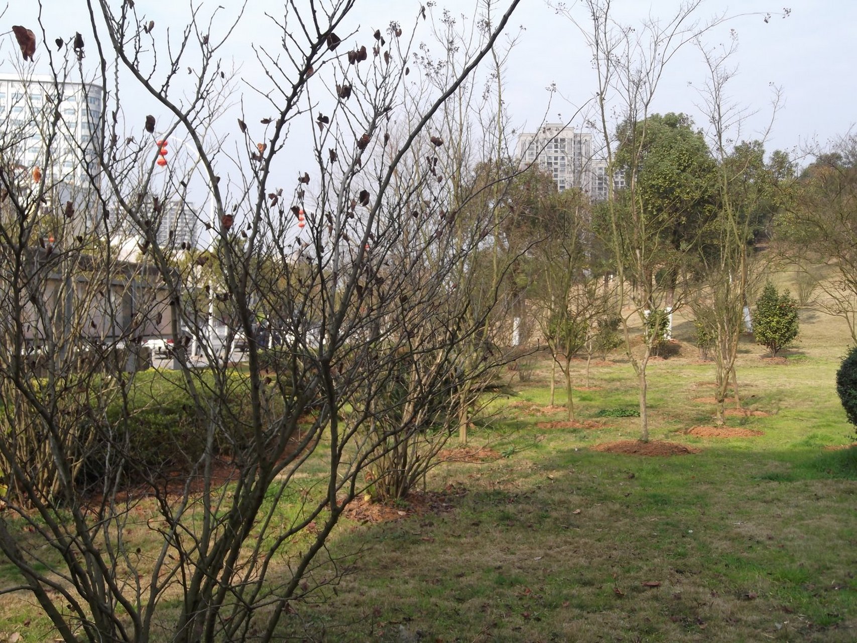 来自finepix t305的一组照片